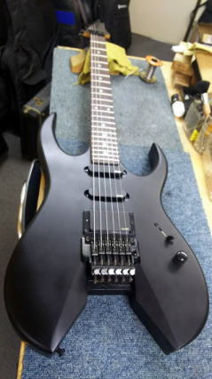 レブビーチモデル